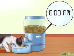 مساعدة القطط على النوم في وقت نومك Wikihow