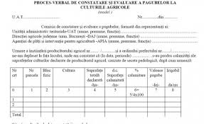 Check spelling or type a new query. Agroinfo Portal De Informatii Agricole