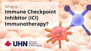 Image result for Immune Checkpoint Inhibitor