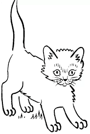 It enables them to explore their creativity more. Cute Kitten Coloring Pages Pdf Free Coloring Sheets In 2021 Kitten Coloring Book Kittens Coloring Animal Coloring Pages