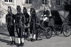 We did not find results for: Horse Code Psychology Today