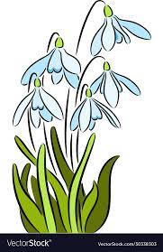 Illustration Of Fresh Snowdrop Flowers Isolated Download A Free Preview Or High Quality Adobe Illustrator Ai Eps Pdf And Flowers Vector Free Vector Images