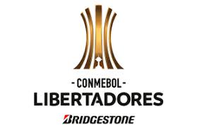 It is home to the argentine football club independiente. Eintrittskarten Fur Veranstaltungen Copa Libertadores De America