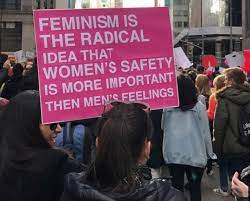 Oct 06, 2019 · feminism is a complex set of ideologies and theories, that at its core seeks to achieve equal social, political, and economic rights for women and men.feminism refers to a diverse variety of beliefs, ideas, movements, and agendas for action. Born A Feminist Voices Of Youth