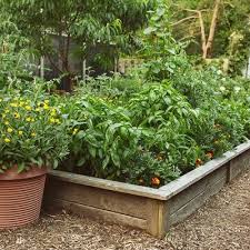 Best gardening designs for cramped spaces. Vegetable Garden Ideas Design Garden Design
