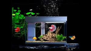 178 With Coupon For Geometry 15l 30l Smart Temperature Control Ai Fish Tank Real Time Monitoring Of Water Quality Efficient Filtration App Controls From Xiaomi Youpin From Eu Cz Warehouse Banggood China