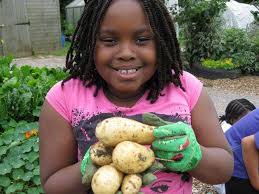 Enhancing Access Opportunities Test and Trial Enhancing Access  Opportunities Test and Trial Case Studies