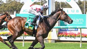 Stewards ban Melbourne Cup winning jockey