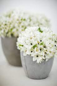 San Francisco Wedding From Shannon Leahy Events Wedding Flower Alternatives Modern Wedding Flowers Wedding Flowers