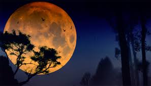 Yuk, simak video doa malam lailatul qadar dari yufid documentary. Ini Doa Malam Lailatul Qadar Islampos