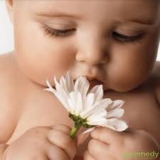 Amazon.com: Puremedy Baby Diaper Rash Healing Ointment, All Natural Vegan  Homeopathic Balm Soothes and Relieves Symptoms of Dry Itchy Flaky Red Skin 