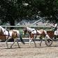 Driving Clinic with Trish Demers