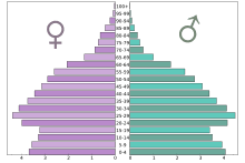 Demographics Of Vietnam Wikipedia