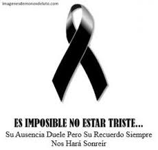 Pin En Imagenes De Monos De Luto