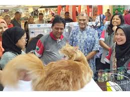 Sama seperti manusia, vaksin kucing bertujuan untuk membangun sistem imunitas tubuh agar peliharaanmu ini mampu menghadapi serangan virus apabila terjadi suatu saat nanti. Vaksin Kucing Elak Dijangkiti Rabies