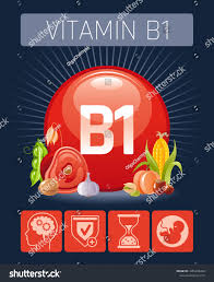 Thiamine Vitamin B1 Food Icons Healthy Stock Vector Royalty