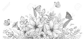 Coloring book drawing wildflower child, child, white, child png. Hand Drawn Blooming Flowers And Butterflies On Blank Background Royalty Free Cliparts Vectors And Stock Illustration Image 152993784