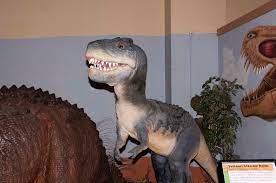 Check spelling or type a new query. Dinosaur Journey