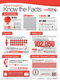 Kidney Transplants Know The Facts Infographic Livewell Online Magazine Living Kidney Donor Kidney Transplant Kidney Donation