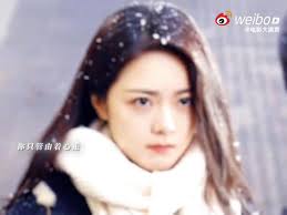 zhaojinmai FC🌾🍒(support drama maimai)