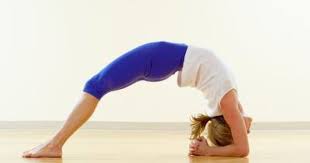 How To Learn Sanskrit Yoga Poses Yoga Poses For Beginners Yoga Benefits Yoga Poses