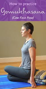 Gomukhasana Cow Face Pose Cow Face Pose Cow Face Poses