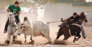 Para associação, análise feita pelo STF sobre vaquejada é superficial