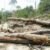 The amazon is one of earth's. 1