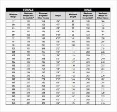 18 Comprehensive Usmc Height Weight Calculator