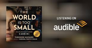 The World Is Too Small Audiobook by Theodore Maynard