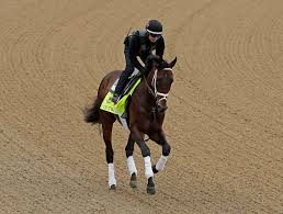 Image result for kentucky derby images 2016 ago