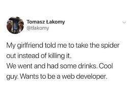 My Friend The Spider Is A Web Developer Meme By Knightofcydonia Memedroid