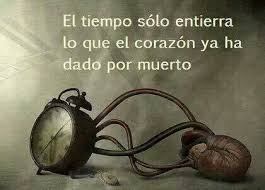 Suenos Citas Pensamientos Quotes Y Reflexiones Buscame En Facebook Https Www Facebook Com Pages Tengo El Alma De Frases Divertidas Frases Frases Sabias