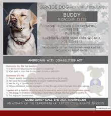 Dog Indoor Potty Training Tips And Pics Of How To Train Your Dog To Stop Nipping Tip 16756542 Dogtraining Dogco Service Dogs Dog Training Dog Identification