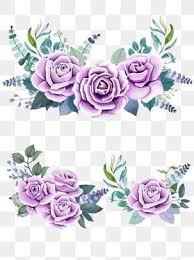 Chinese Rose Flower Purple Beautiful Free Button Element Tanabata Purple Rose Plant Png Transparent Image And Clipart For Free Download Em 2020