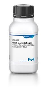 Image result for Mannitol
