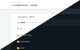 Caddy - The Ultimate Server with Automatic HTTPS