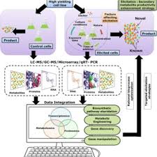 We did not find results for: Elicitation A Stimulation Of Stress In In Vitro Plant Cell Tissue Cultures For Enhancement Of Secondary Metabolite Production Request Pdf