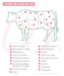 Tipos de cortes de carne de res agua o filete de pobre. Cortes De Carne De Res Para Una Buena Parrilla Diariamente Ali