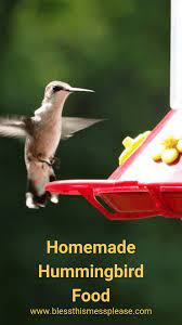 Two Ingredients To The Best Homemade Hummingbird Food Recipe Hummingbird Food Homemade Hummingbird Food Hummingbird Nectar
