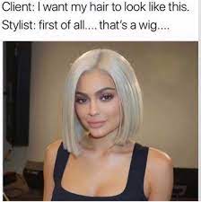 17 Hilarious Memes That Explain Why Your Hairstylist Is Probably Over You Kylie Jenner Wigs Kylie Hair Kylie Wigs