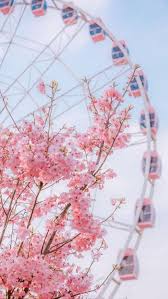 Pink Flower Aesthetic And Ferris Wheel In Beautiful Garden Pinkfloweraesthetic Pinkflowerwallpap In 2020 Pink Flowers Wallpaper Flower Aesthetic Aesthetic Wallpapers