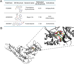 101 docking, que cela signifie. Repurposing Thioridazine Tdz As An Anti Inflammatory Agent Scientific Reports