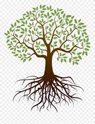 Old Drawing Apple Tree Tree With Roots Png Clipart 2802 Pinclipart Please use and share these clipart pictures with your friends. old drawing apple tree tree with