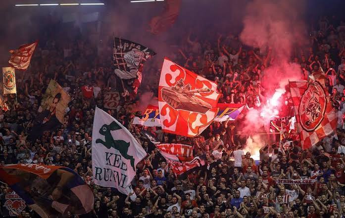 red star delije ultras