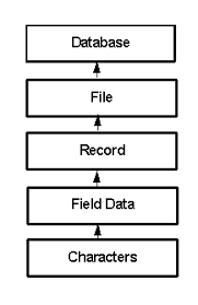 A database is an organized collection of structured information, or data, typically stored electronically in a computer system. Struktur Data Wiwit S Blog