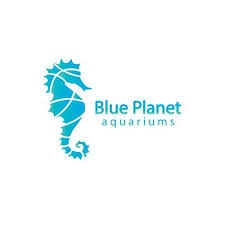 Killerstarfish 99designs Logo Design Logo Design Inspiration Fish Logo