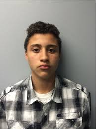 PGPD News: June 2018