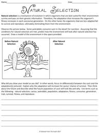 Evolution by natural selection is an answer key selection the darwin's natural selection worksheet answer key was created by markku myrskyla in the summer of 2020. Evolution And Natural Selection Worksheet Answers