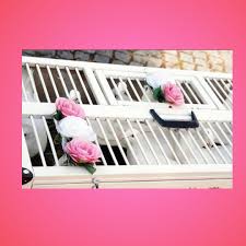 Meine tauben werden professionell von mir vor ort betreut die zahmen weißen hochzeitstauben fliegen bei ihrer hochzeit in münchen und umgebung. Hochzeitstauben For You Munchen Erding Tauben Fur Ihre Hochzeit